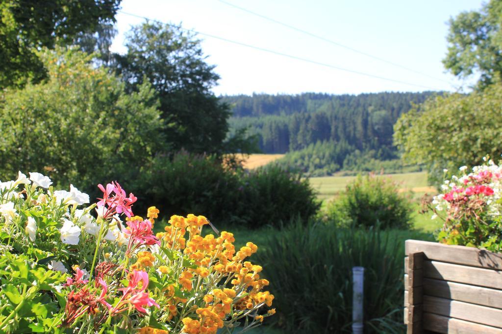Landgasthof Haueis Marktleugast エクステリア 写真