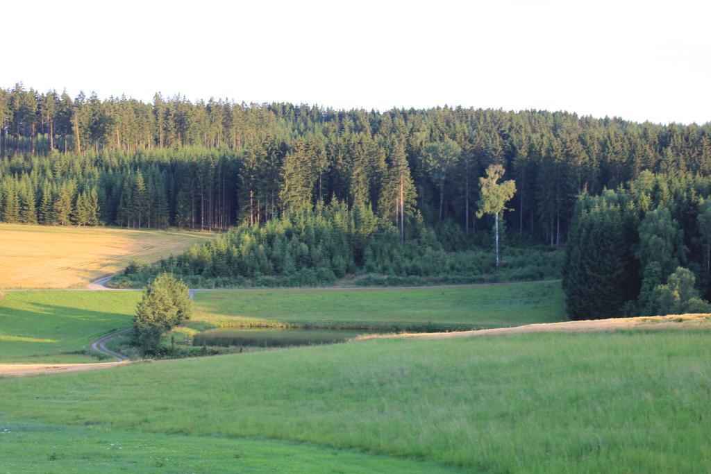 Landgasthof Haueis Marktleugast エクステリア 写真