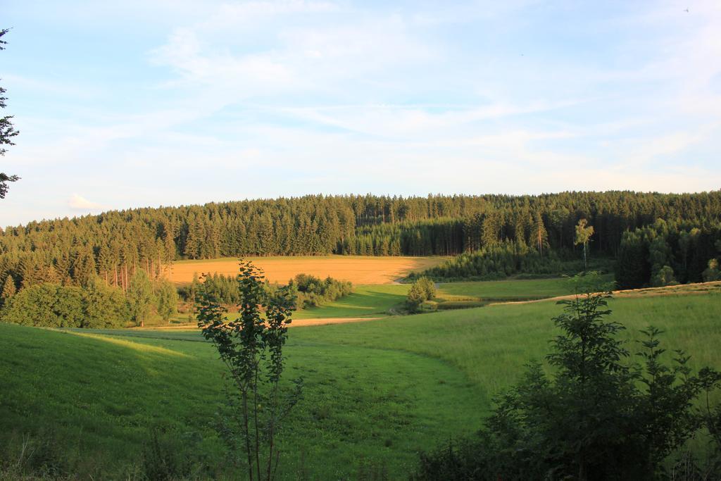 Landgasthof Haueis Marktleugast エクステリア 写真