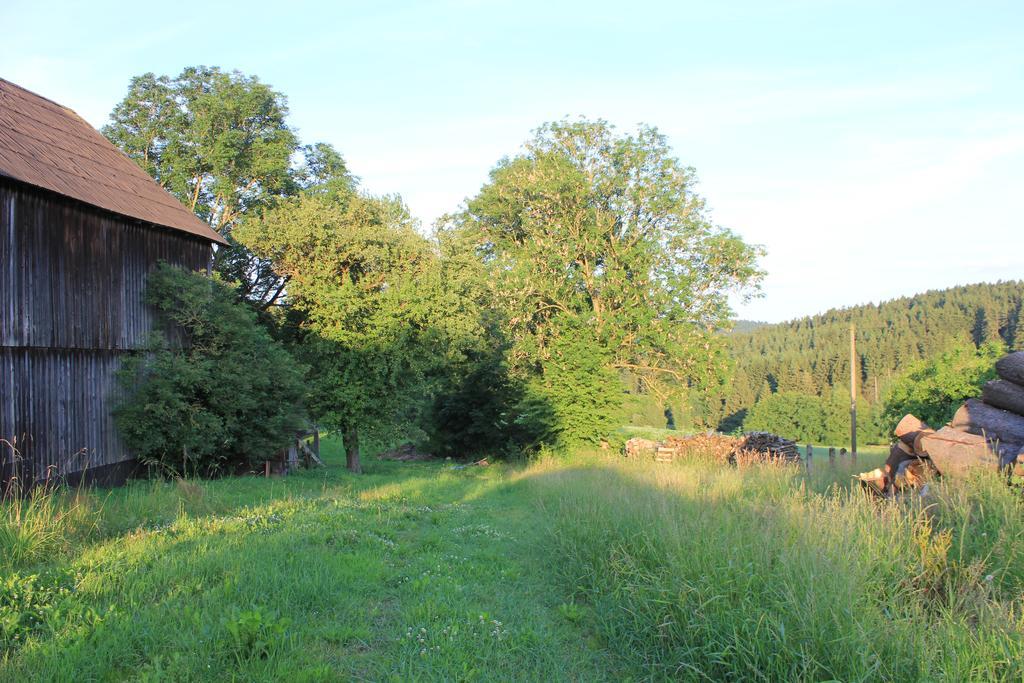 Landgasthof Haueis Marktleugast エクステリア 写真