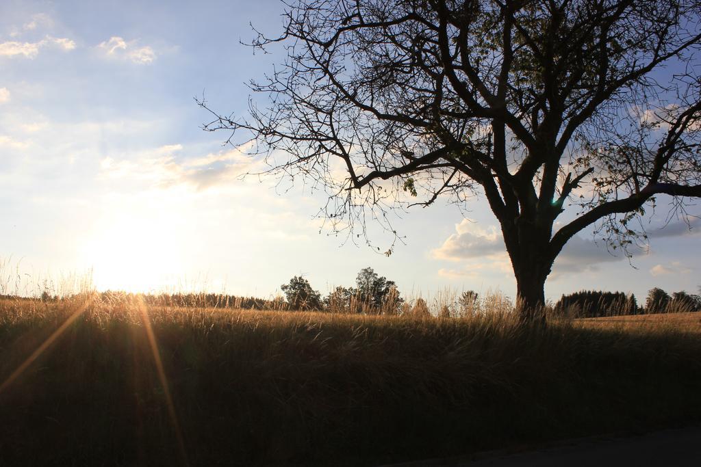 Landgasthof Haueis Marktleugast エクステリア 写真