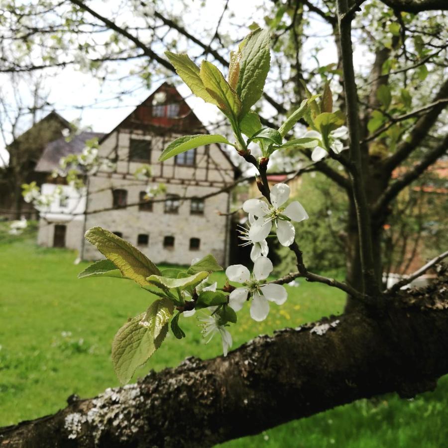 Landgasthof Haueis Marktleugast エクステリア 写真